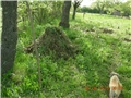 arčilend